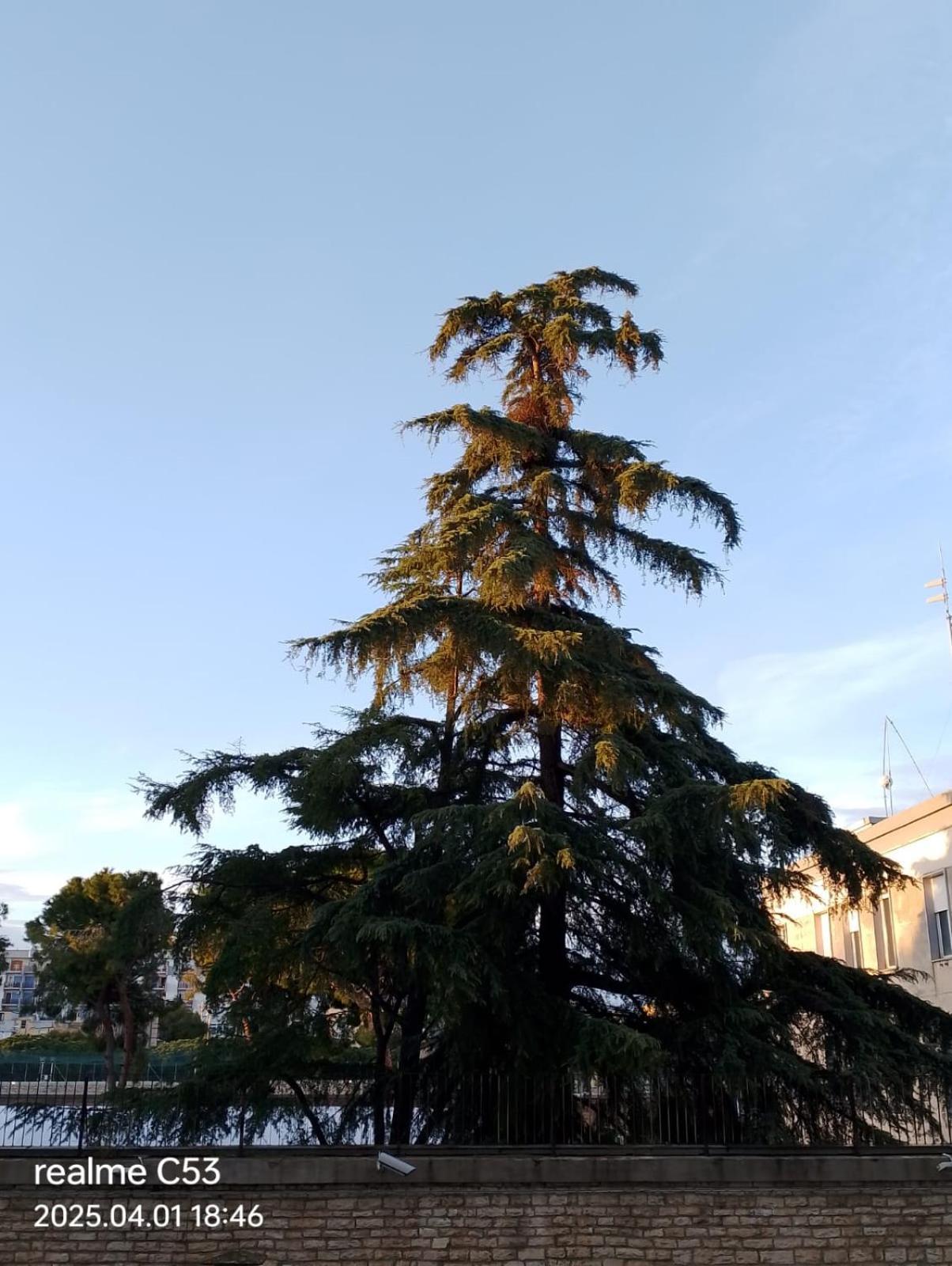 111 Guest House Bari Esterno foto